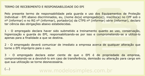 Exemplo De Termo De Responsabilidade Ou Declaração De Compromisso