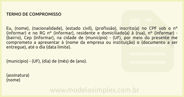 Exemplo de termo de responsabilidade simples